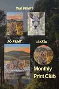 Monthly Print Club