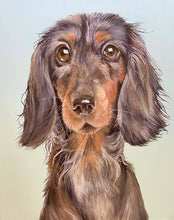 Load image into Gallery viewer, Snag the sausage dog 16&quot; by 20&quot; Acrylic Original