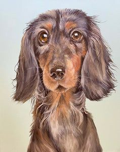 Snag the sausage dog 16" by 20" Acrylic Original