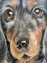 Load image into Gallery viewer, Snag the sausage dog 16&quot; by 20&quot; Acrylic Original