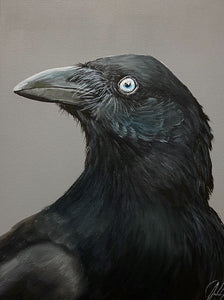 Australian Raven Painting 9" by 12" Acrylic Original