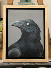 Load image into Gallery viewer, Australian Raven Painting 9&quot; by 12&quot; Acrylic Original