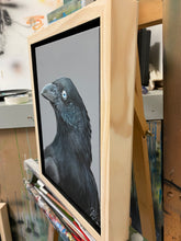 Load image into Gallery viewer, Australian Raven Painting 9&quot; by 12&quot; Acrylic Original