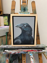 Load image into Gallery viewer, Australian Raven Painting 9&quot; by 12&quot; Acrylic Original