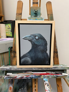 Australian Raven Painting 9" by 12" Acrylic Original