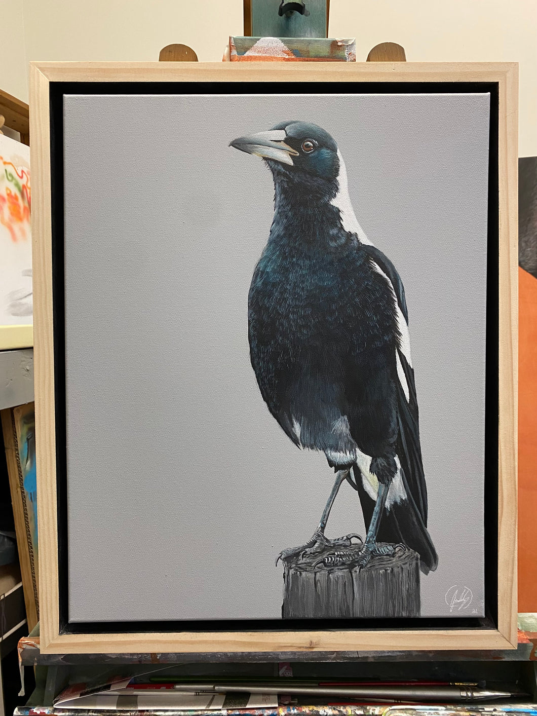Full Body Magpie Painting 16