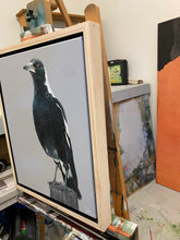 Load image into Gallery viewer, Full Body Magpie Painting 16&quot; by 20&quot; Acrylic Original