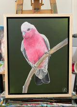 Load image into Gallery viewer, Galah Painting 16&quot; by 20&quot; Acrylic Original