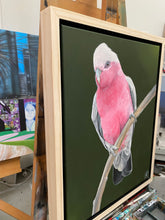 Load image into Gallery viewer, Galah Painting 16&quot; by 20&quot; Acrylic Original