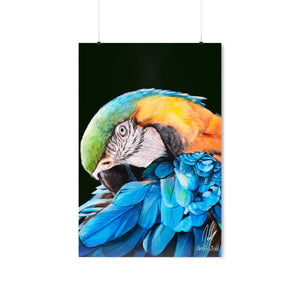 Premium Satin Manko the Macaw Print