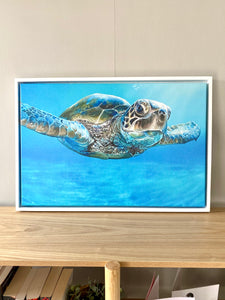 Peaceful Turtle Print (Limited Edition)