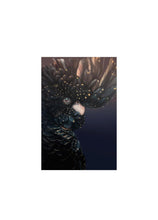 Load image into Gallery viewer, Premium Satin Black Cockatoo Print