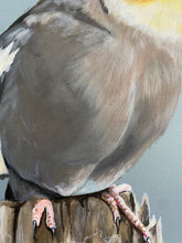 Load image into Gallery viewer, Little Cockatiel Original Painting