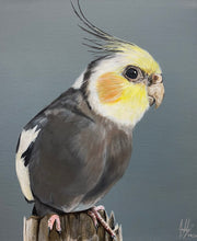 Load image into Gallery viewer, Little Cockatiel Original Painting