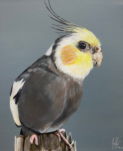 Little Cockatiel Original Painting