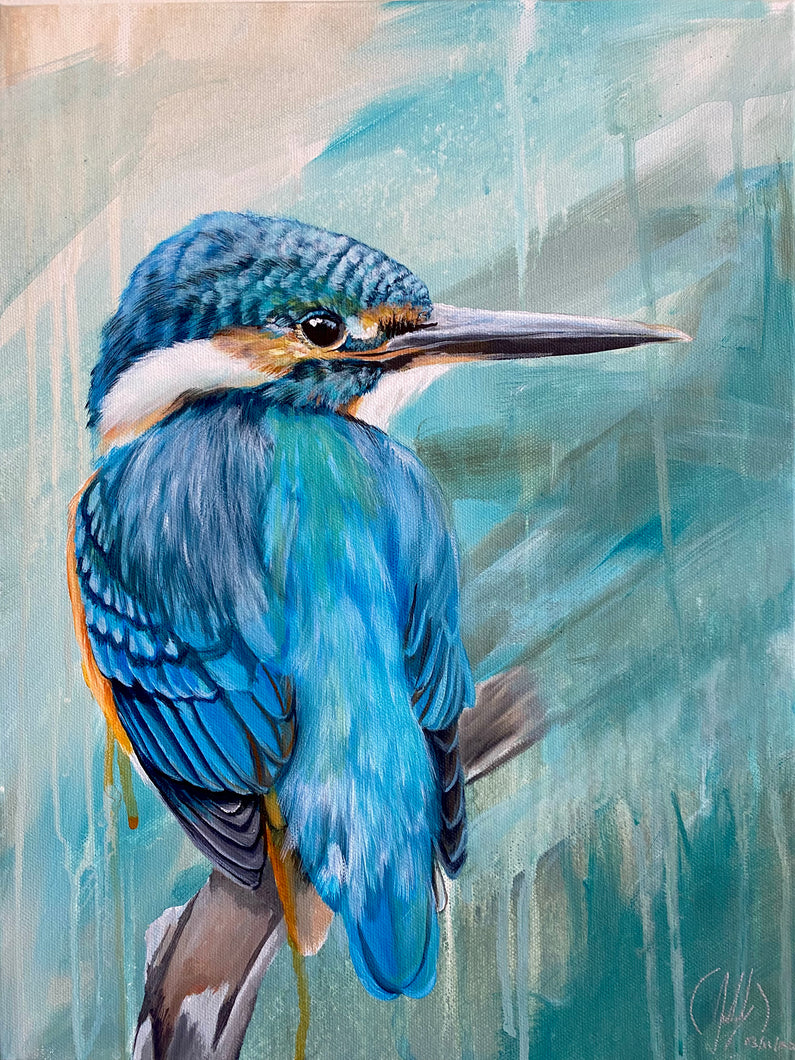Kingfisher Original Painting