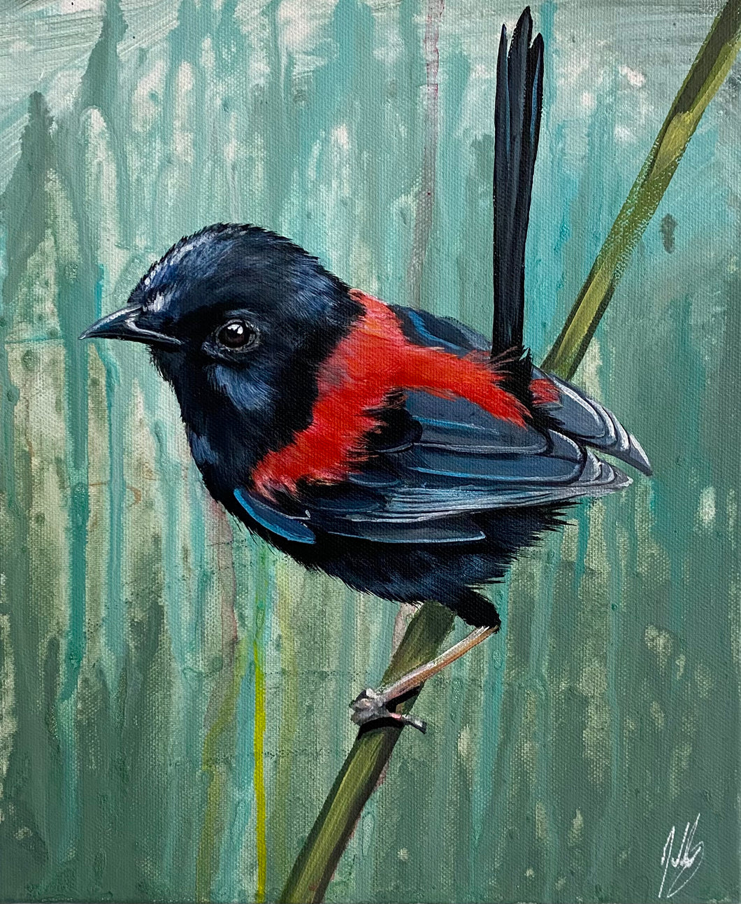 Red Backed Wren Original Painting