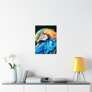 Premium Satin Manko the Macaw Print