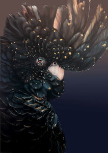 Premium Satin Black Cockatoo Print