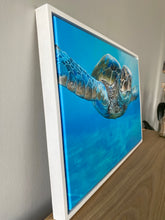 Load image into Gallery viewer, Peaceful Turtle Print (Limited Edition)