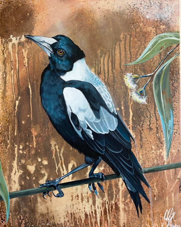 Magpie and Eucalyptus Original Painting