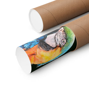 Premium Satin Manko the Macaw Print