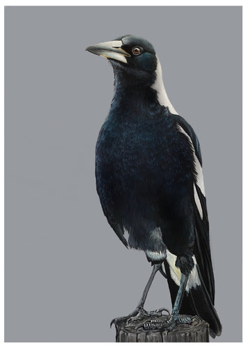 Full Body Magpie Painting 16