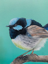 Load image into Gallery viewer, Superb Fairy-Wren Painting 16&quot; by 20&quot; Acrylic Original