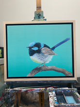 Load image into Gallery viewer, Superb Fairy-Wren Painting 16&quot; by 20&quot; Acrylic Original